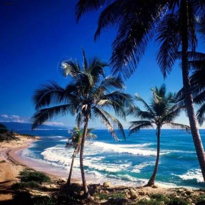 Все об отдыхе в Доминикане: отзывы, советы, путеводитель Стоит ли сейчас ехать в доминикану